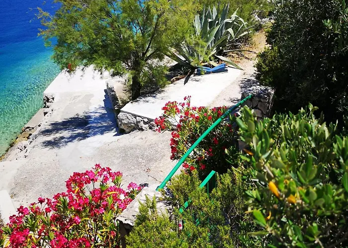 Daire Kanica - At The And Parking *